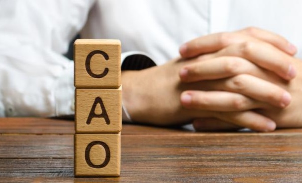 CAO Houtverwerkende Industrie 1 april 2024 tot en met 30 juni 2025